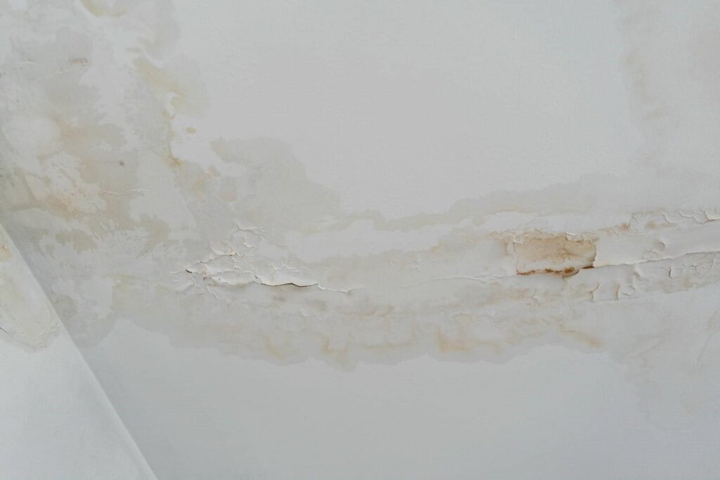 Ceiling with extensive water damage and peeling paint.