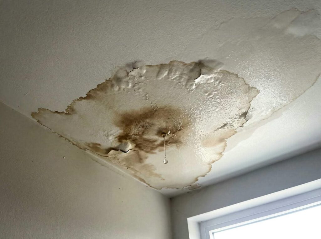 Ceiling with large water damage, peeling paint, and brown stains around a light fixture.