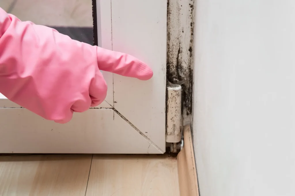 Cypress TX Mold Inspection