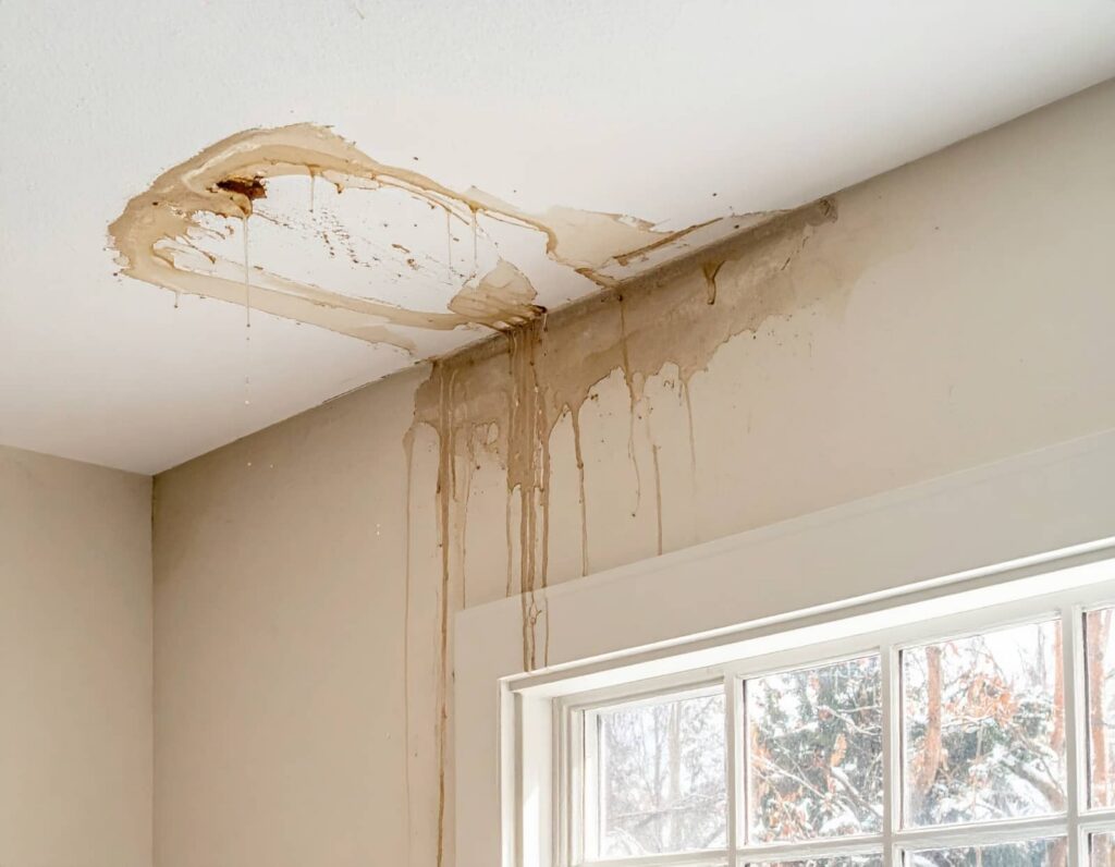 Water-damaged ceiling with peeling paint and stains above a window.