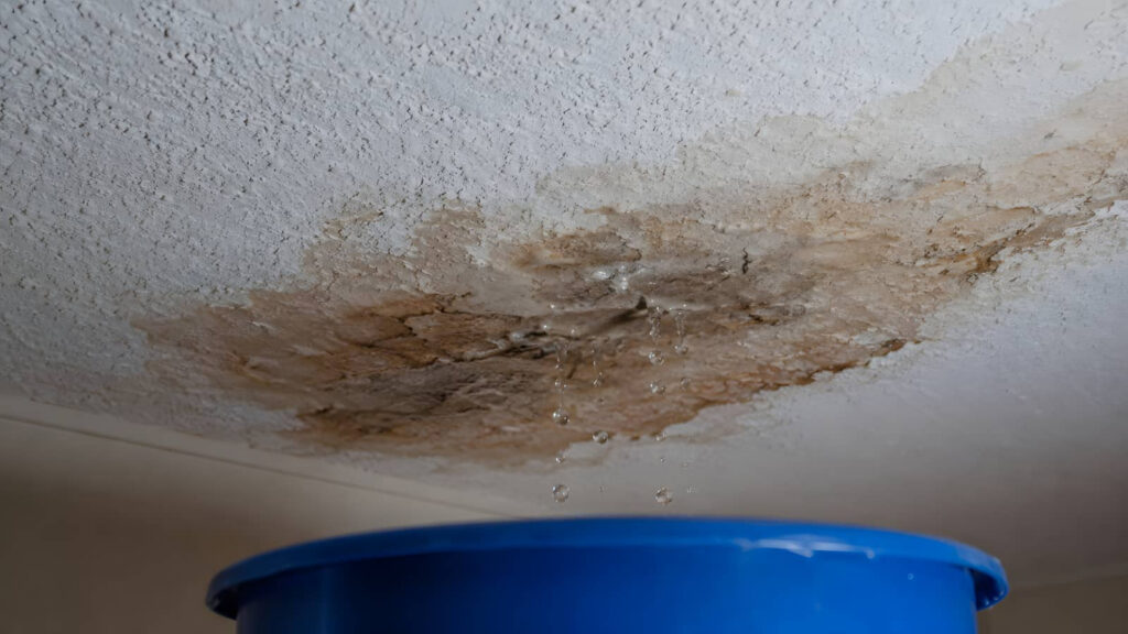Water leaking through a stained ceiling into a blue bucket.
