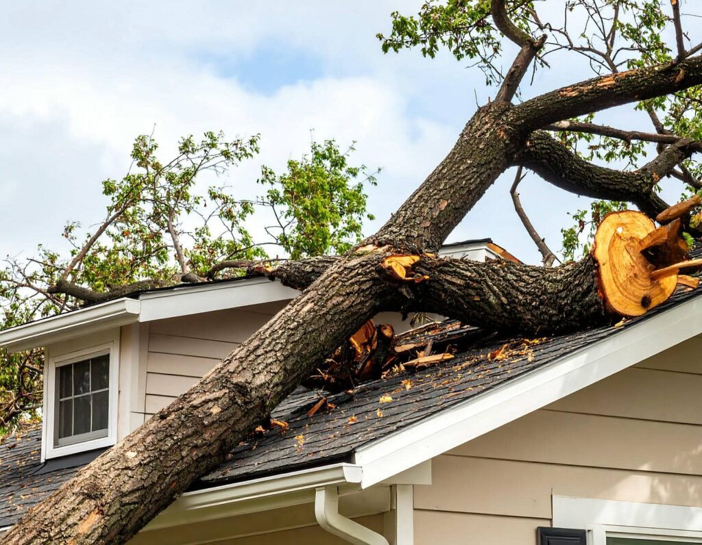 Large fallen tree trunk resting on a house roof, causing visible damage to the shingles.