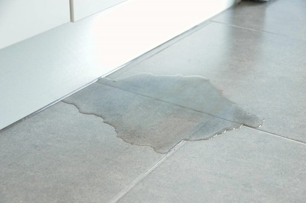 Water spill on a tiled floor near a white cabinet.