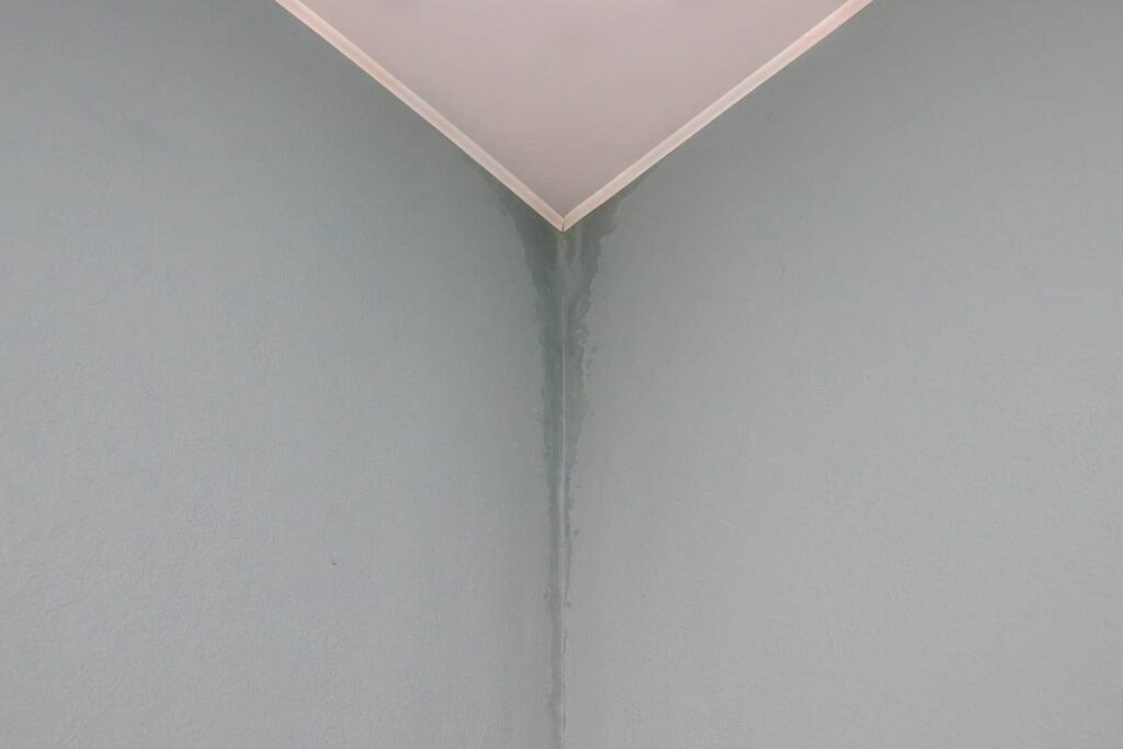 Water damage stain running down the corner of a gray wall beneath a white ceiling.