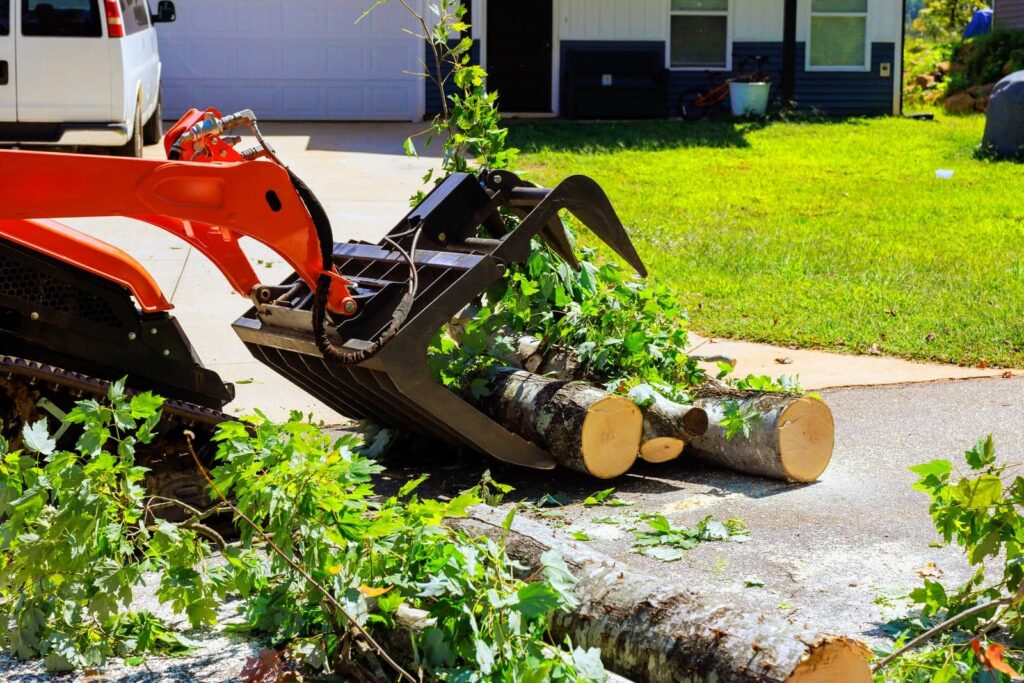 Orange skid steer loader lifting cut tree logs and branches on a driveway near a house.