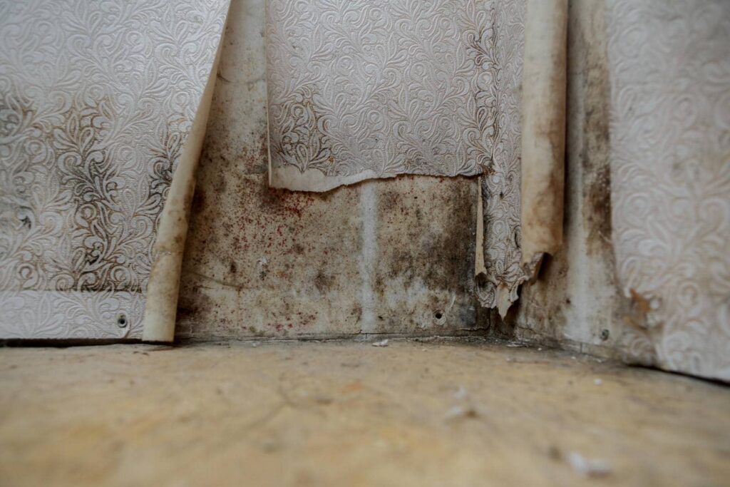 Top Tips to Stop Mold After Water Damage