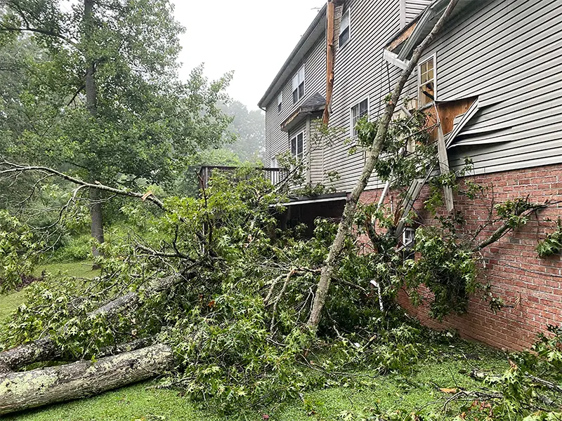 Large fallen tree branches have crashed into the side of a house, damaging the siding and window. storm damage restoration